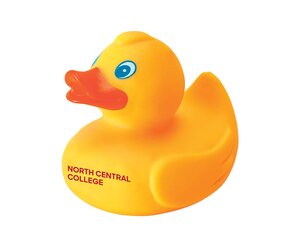 jardine-associates-ncc-rubber-