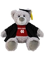 Mascot Factory Aly and Abby Grad Bears 2025