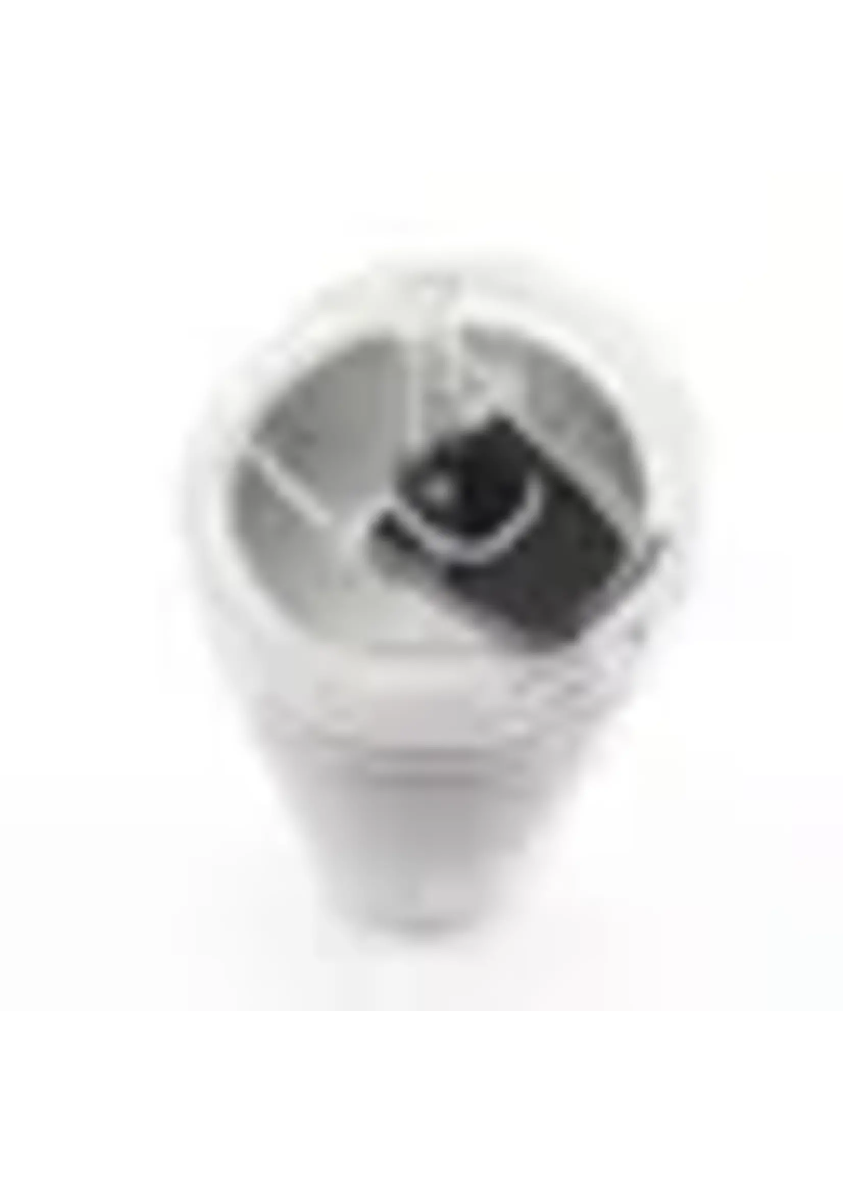 Wincraft North Central College 26oz Ice Shaker 4D