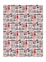 Julia Gash Julia Gash  North Central College 25' Wrapping Paper