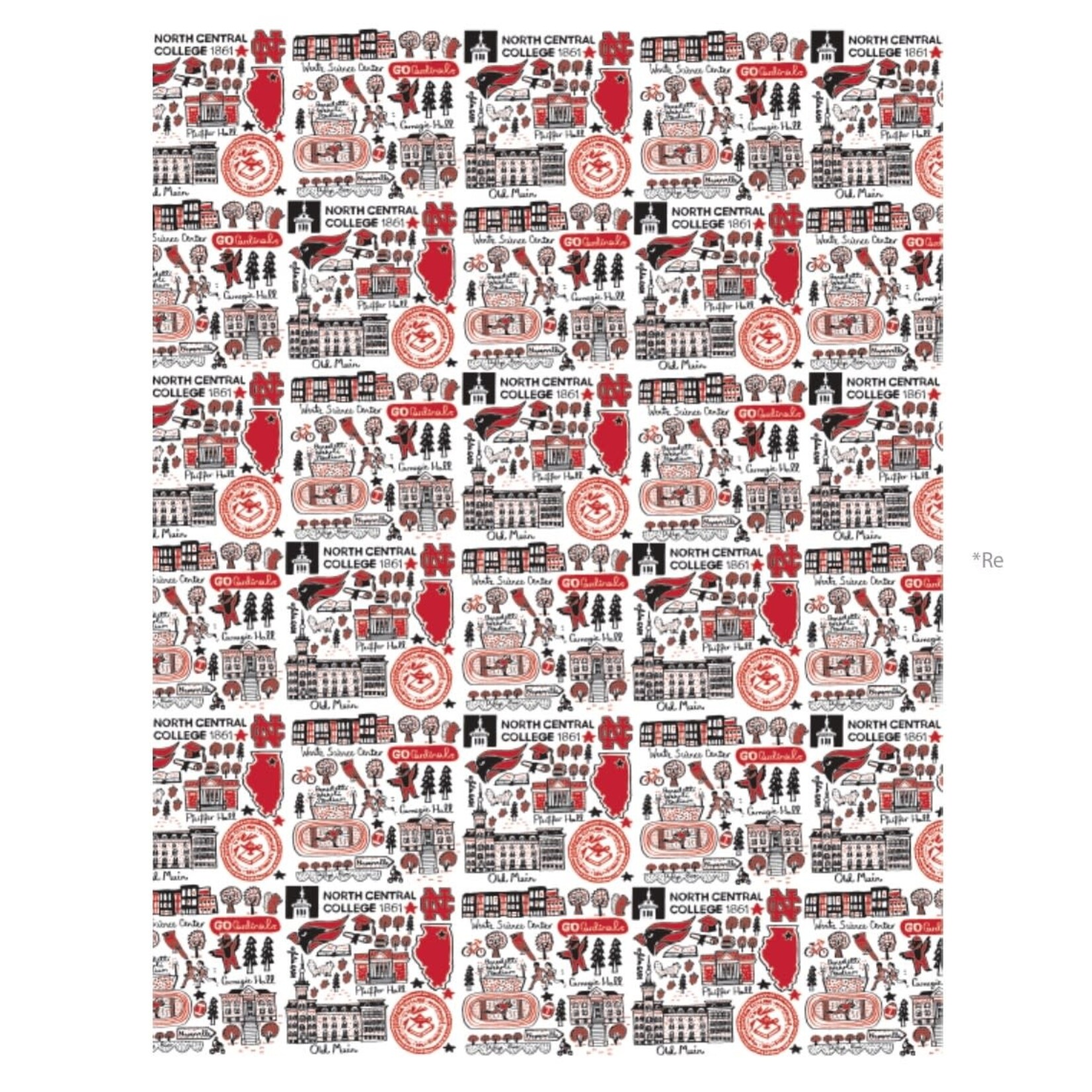 Julia Gash Julia Gash  North Central College 25' Wrapping Paper