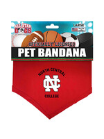 AllStar Dogs All Star Dogs Bandana