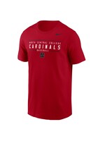 Nike Nike Baseball  Dri Fit  Cotton SS Tee