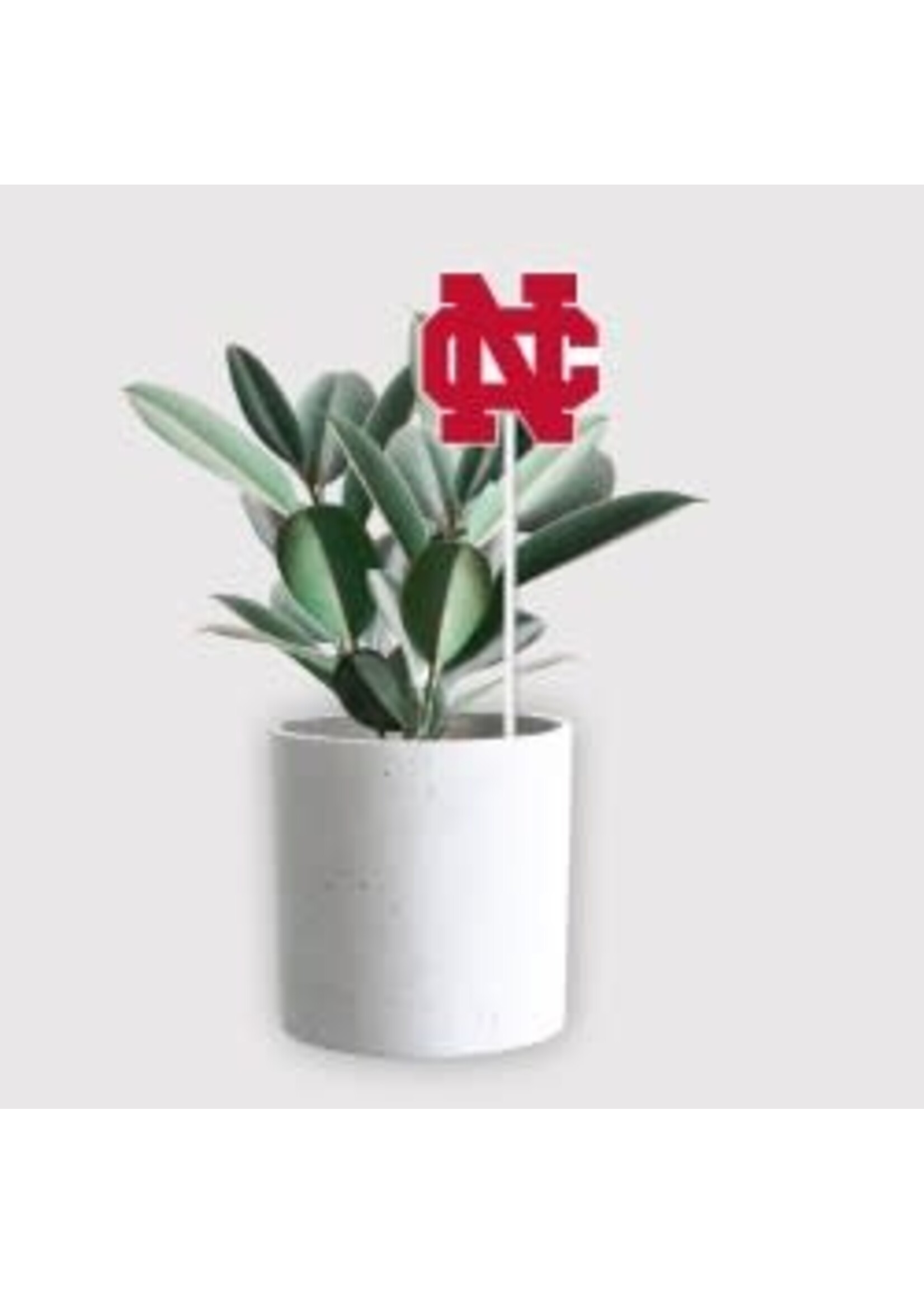 University Blanket & Flag NC Flag Pop