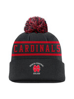 Nike Nike Peak Stripe Beanie w/pom