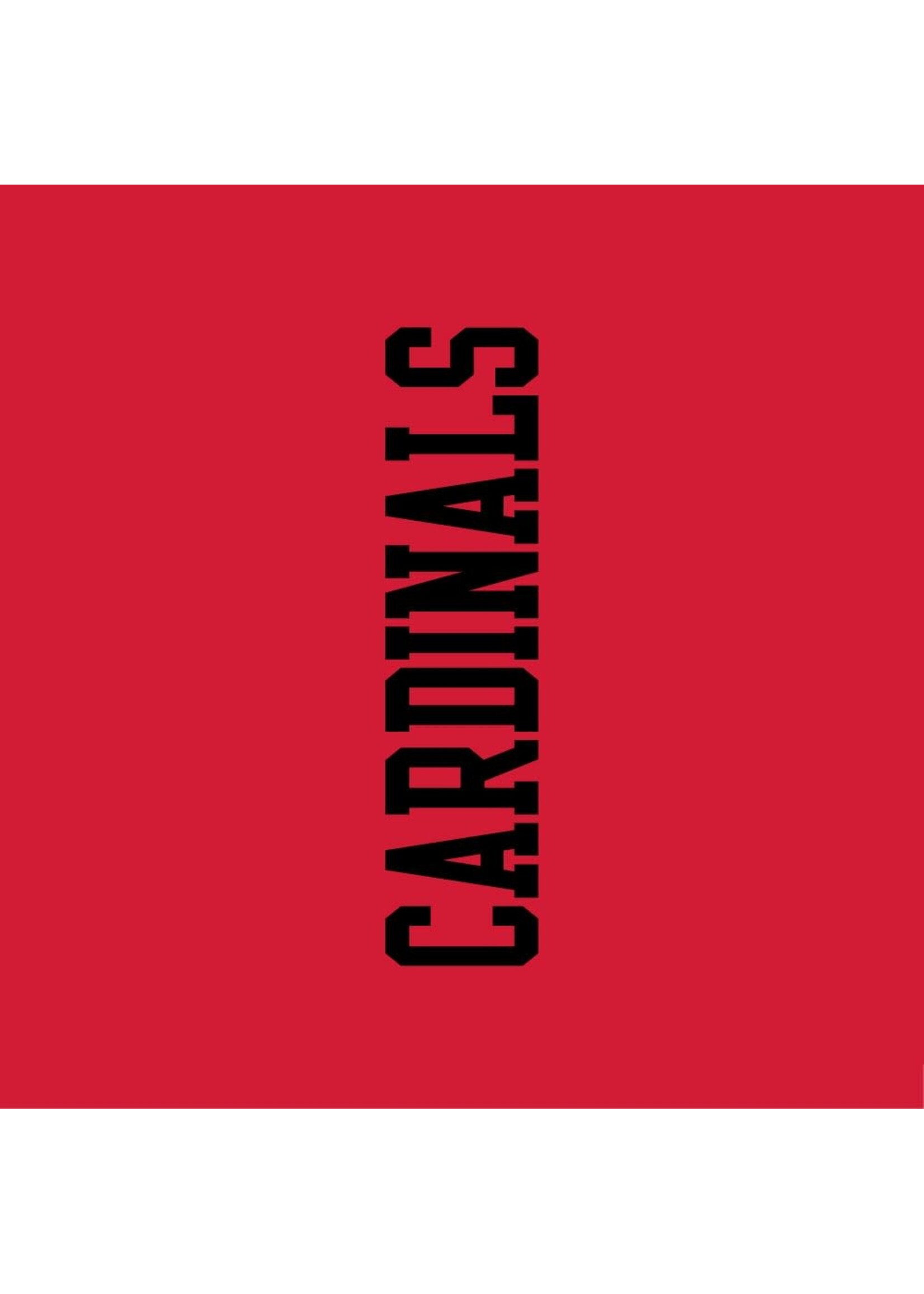 Champion Champion MTO F26 Contrast Liner Hoodie