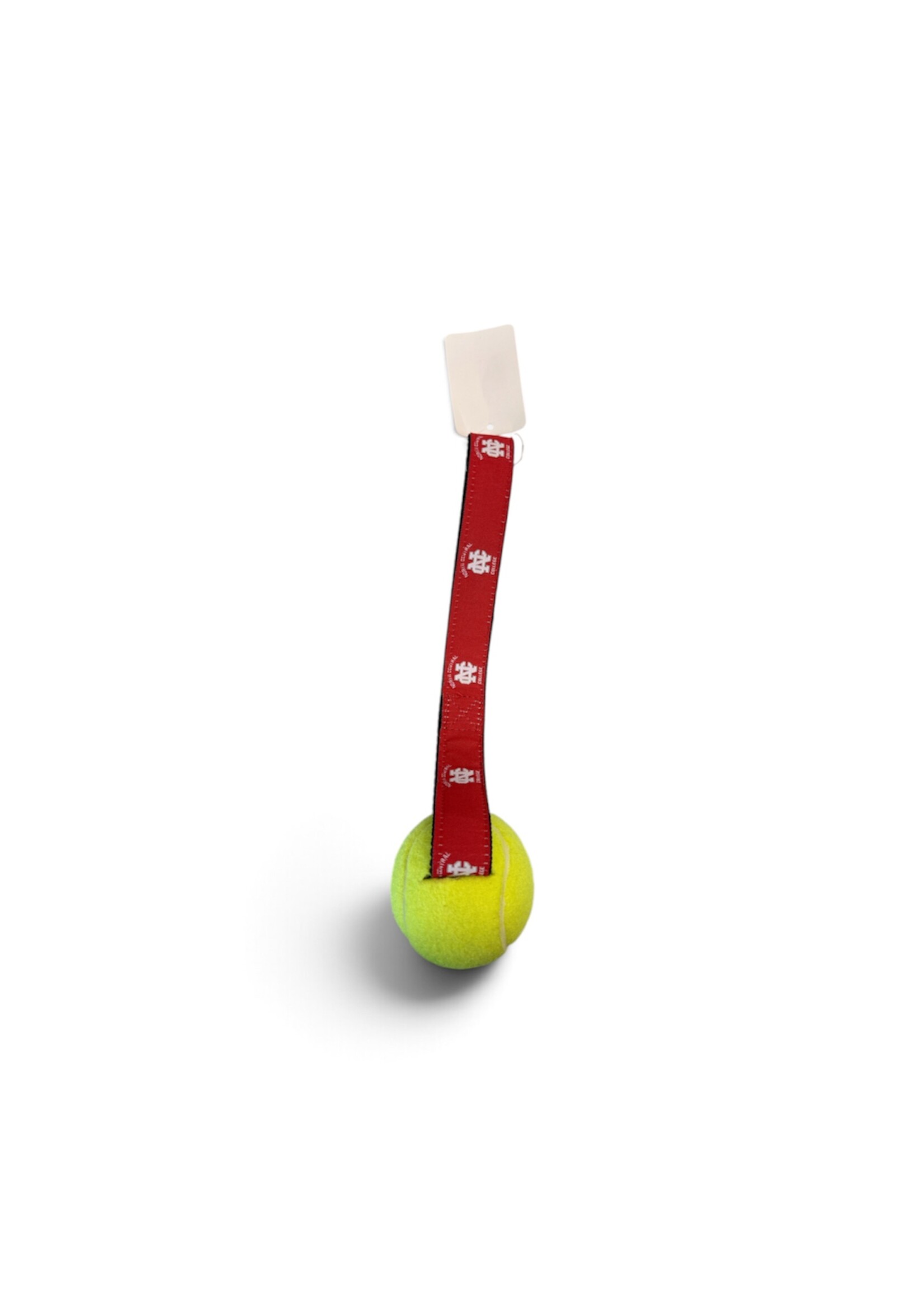 Stadium Spot NCC Dog Pull Toy