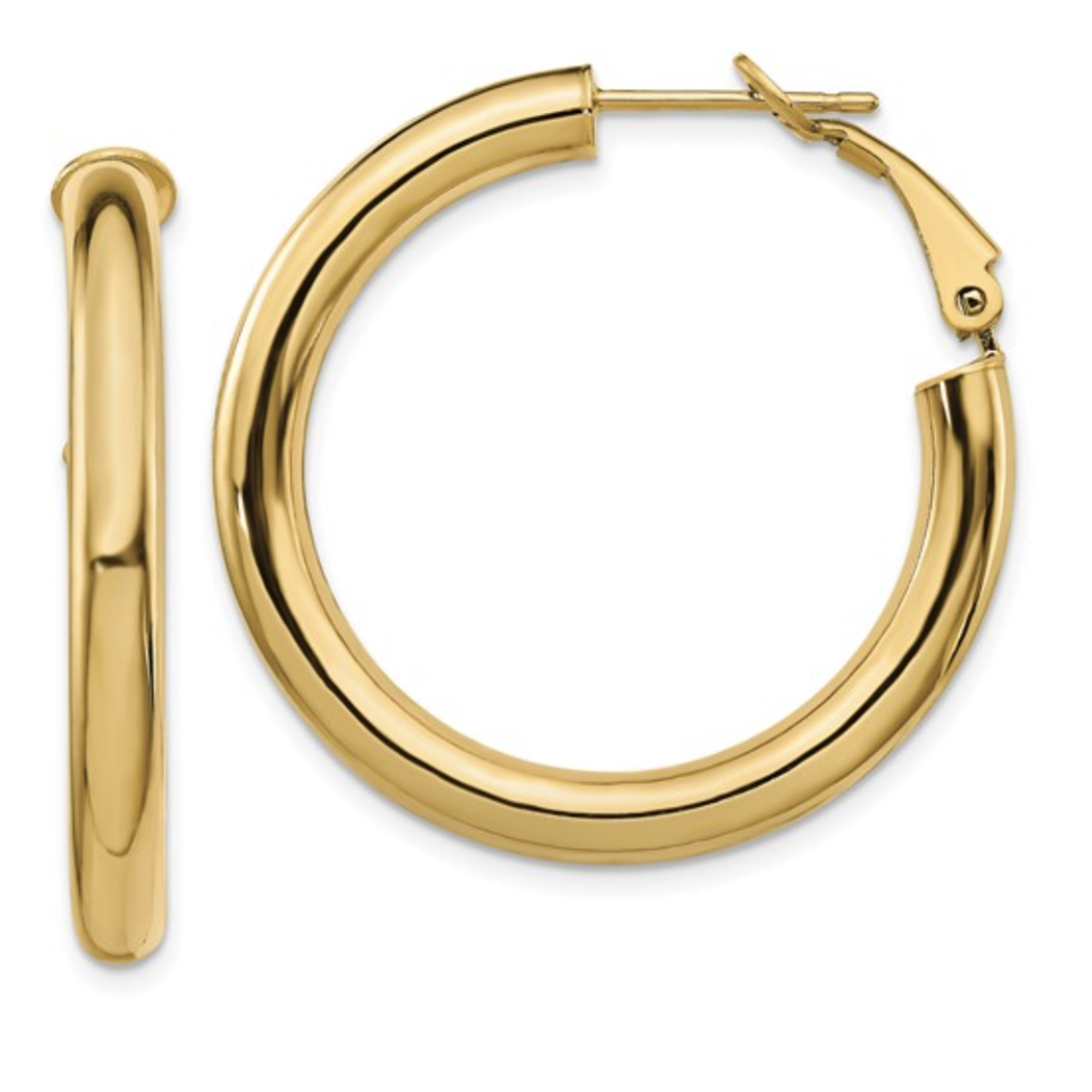 Jill Alberts Hoop Earrings