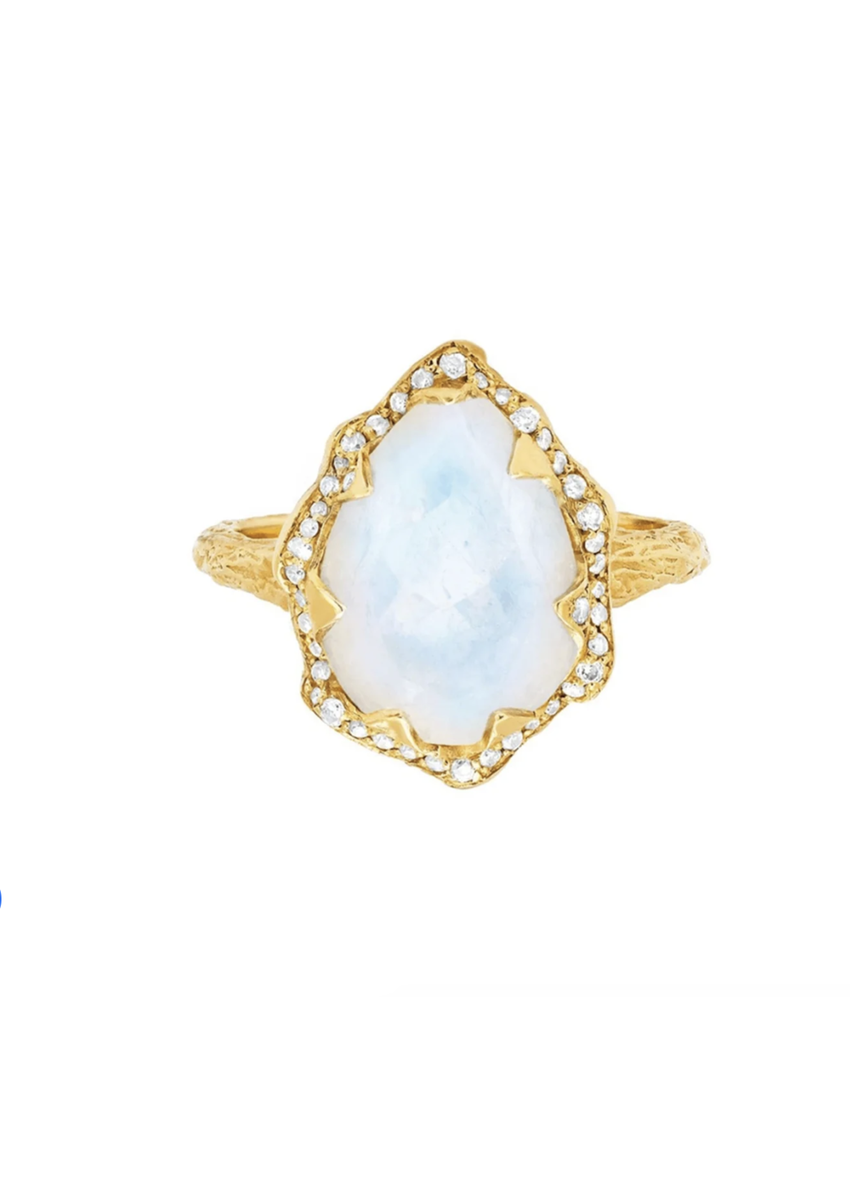 Logan Hollowell Queen Water Drop Moonstone Ring with Full Pavé Diamond Halo