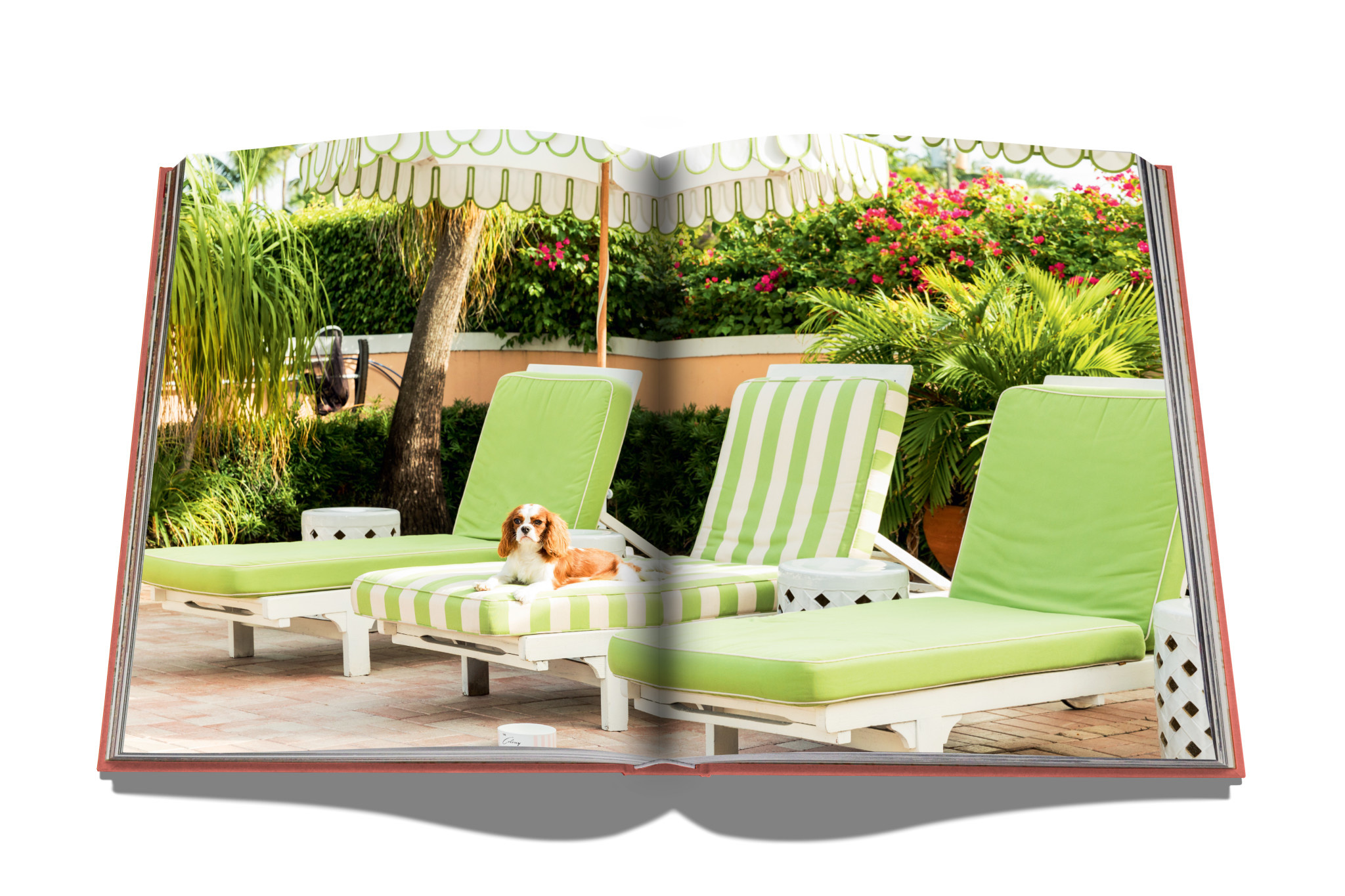 Assouline Assouline Travel Series Palm Beach