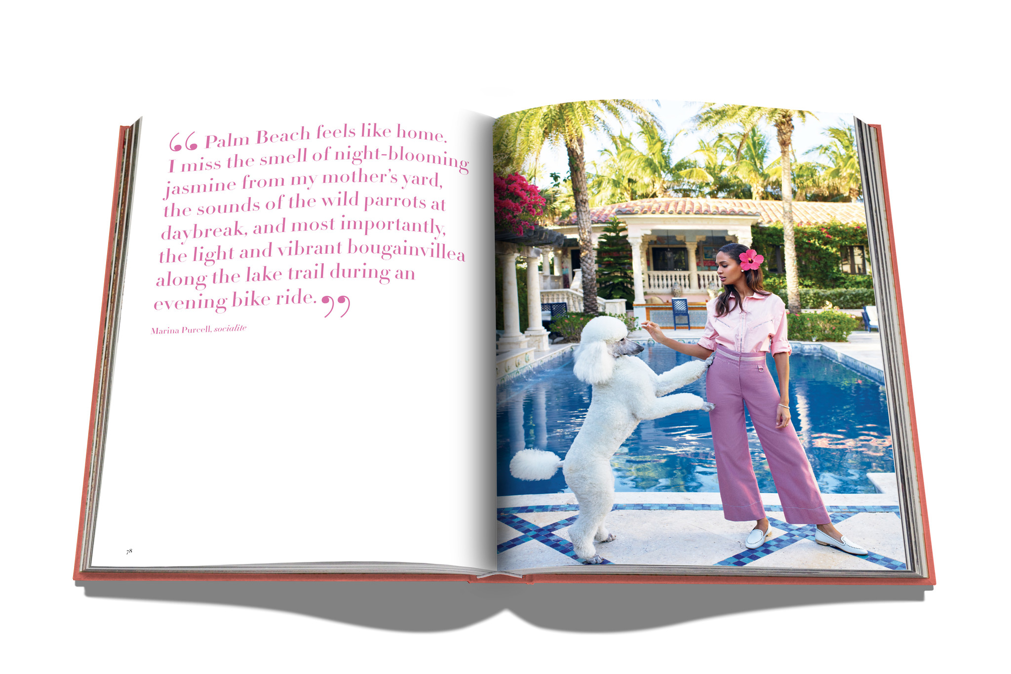 Assouline Assouline Travel Series Palm Beach