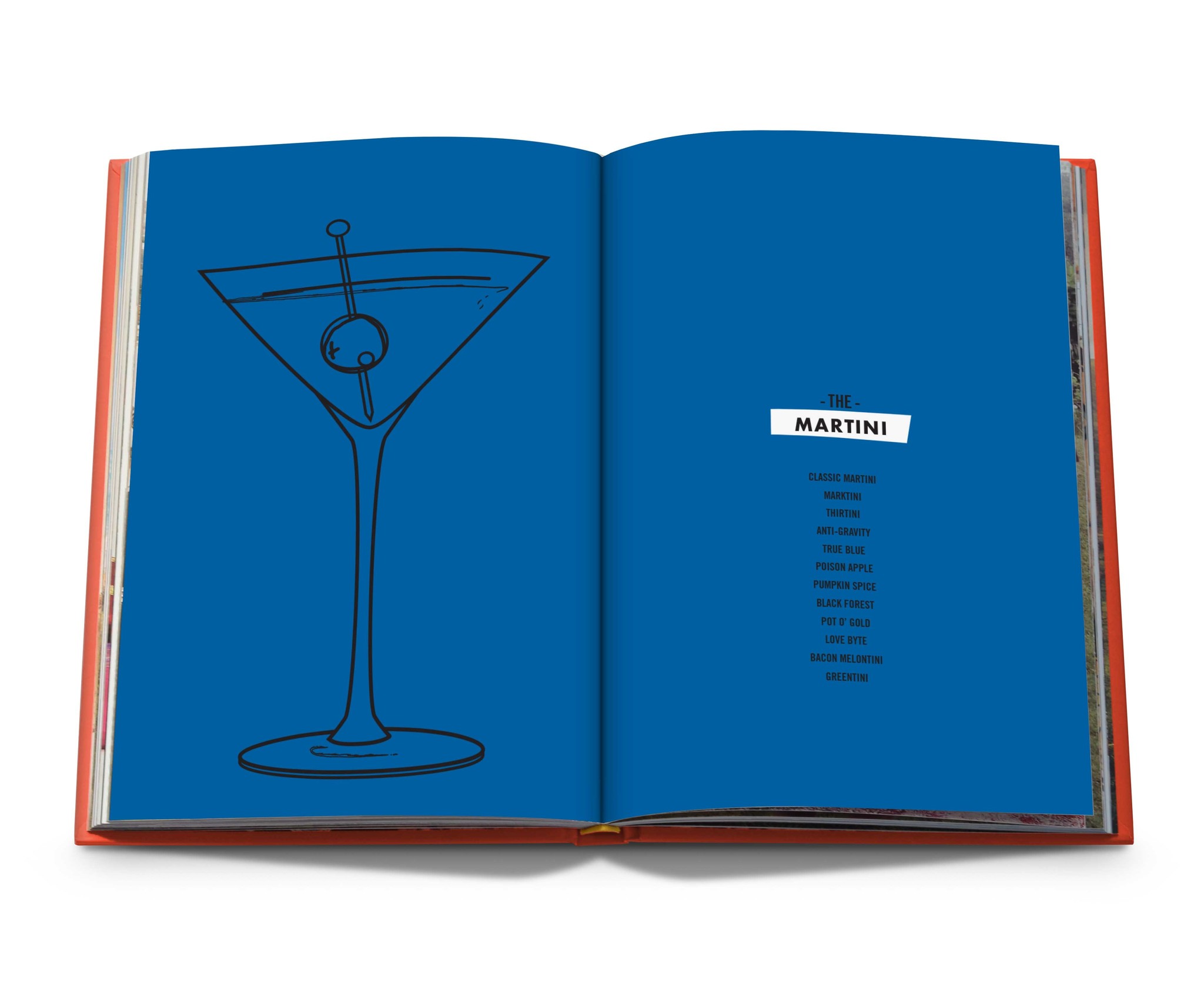 Assouline Assouline Cocktail Chameleon