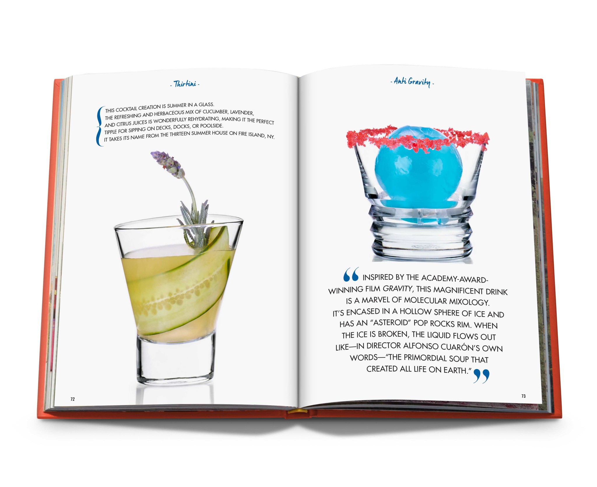 Assouline Assouline Cocktail Chameleon
