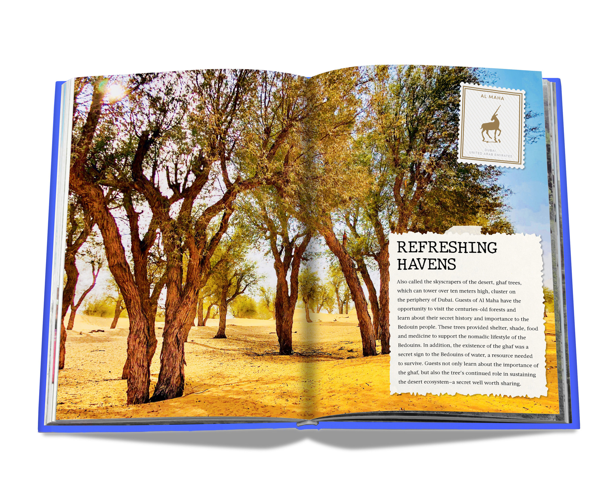 Assouline Assouline The Luxury Collection: Hotel Secrets