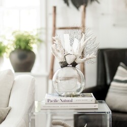 Jamie Dietrich Coral Selenite Seafan Float
