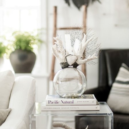 Jamie Dietrich Coral Selenite Seafan Float