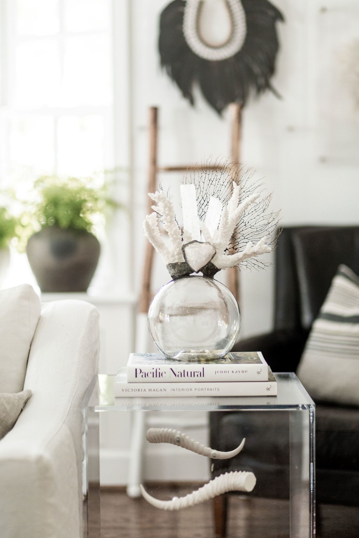 Jamie Dietrich Coral Selenite Seafan Float (Medium)