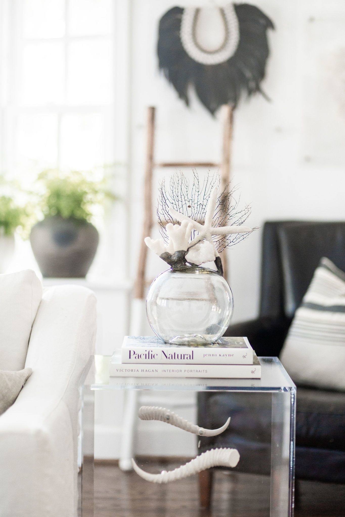 Jamie Dietrich Coral Starfish Seafan Float (Medium)