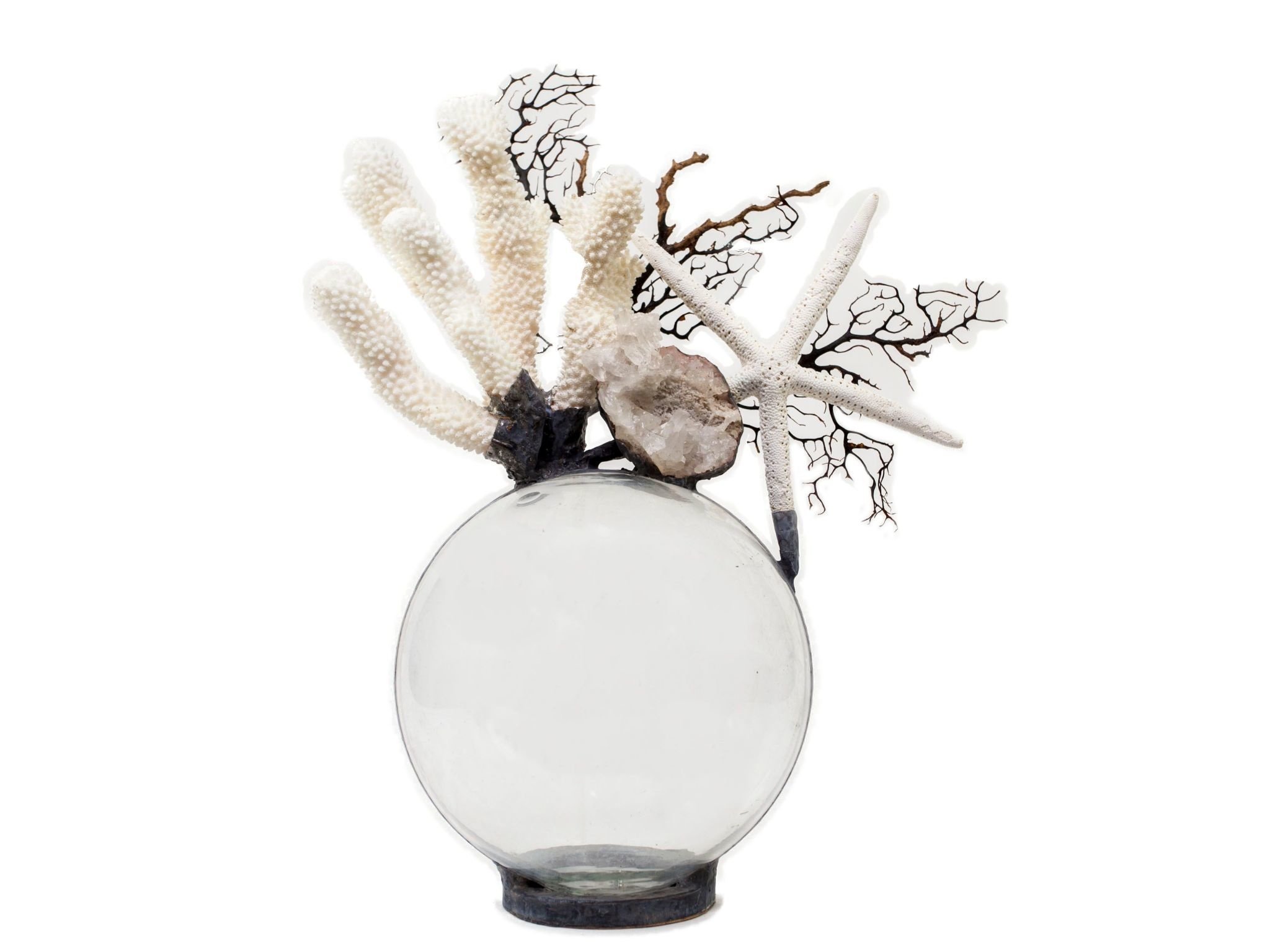 Jamie Dietrich Coral Starfish Seafan Float (Medium)