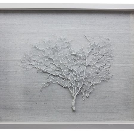 Jamie Dietrich Sealife Shadow Box