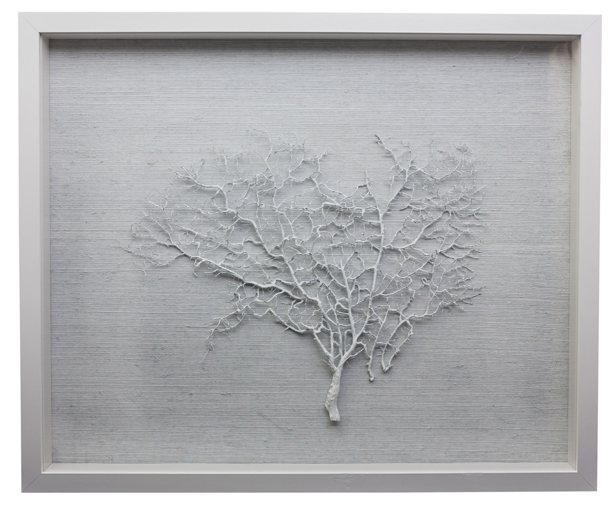 Jamie Dietrich Sealife Shadow Box - Sea Fan