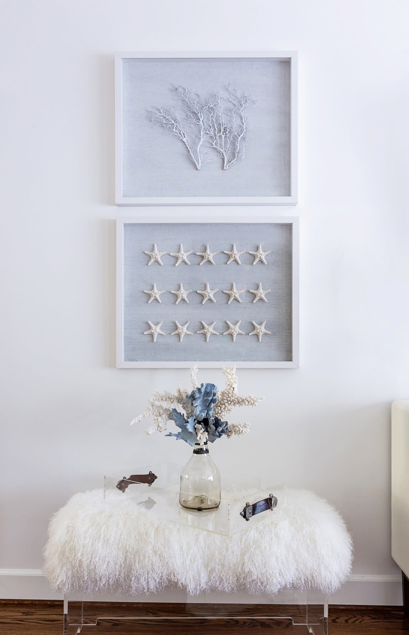 Jamie Dietrich Sealife Shadow Box - Sea Fan