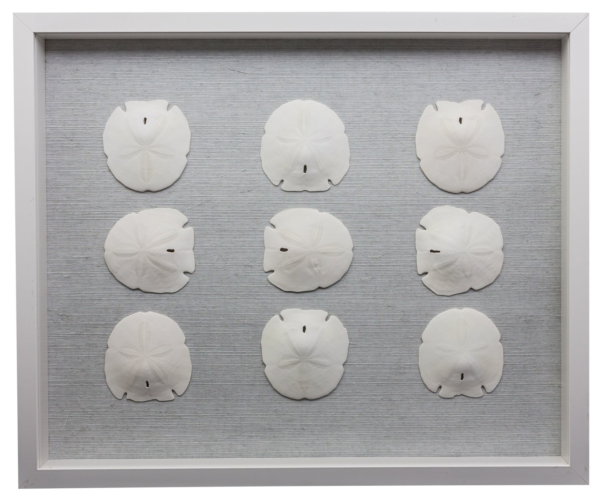 Jamie Dietrich Sealife Shadow Box - White/White - Sand Dollar