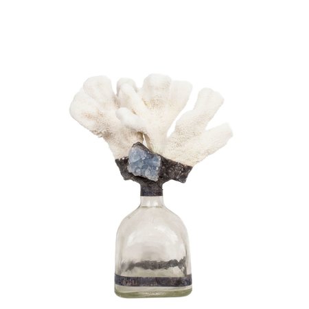 Jamie Dietrich Coral Blue Calcite Bottle