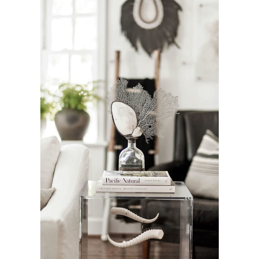 Jamie Dietrich Shell Geode Silver SeaFan Bottle