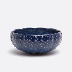 Blue Pheasant Isla Spotted Navy Bowl Set