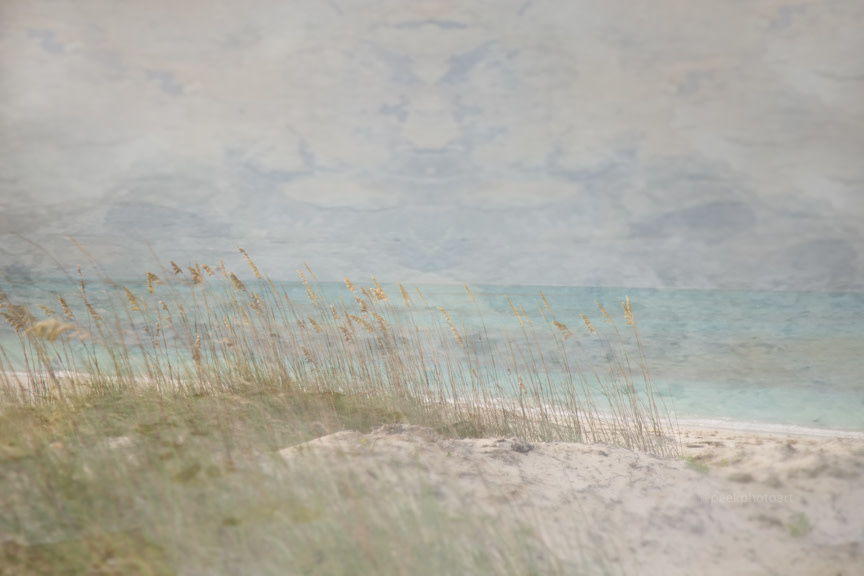 Alyssa Peek Alyssa Peek Seagrass Mist