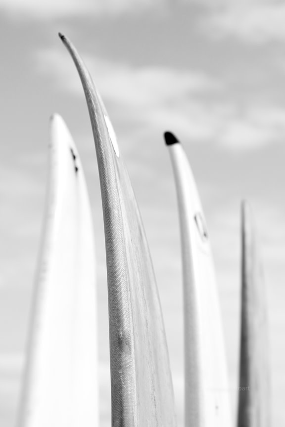 Alyssa Peek Alyssa Peek Tips Up