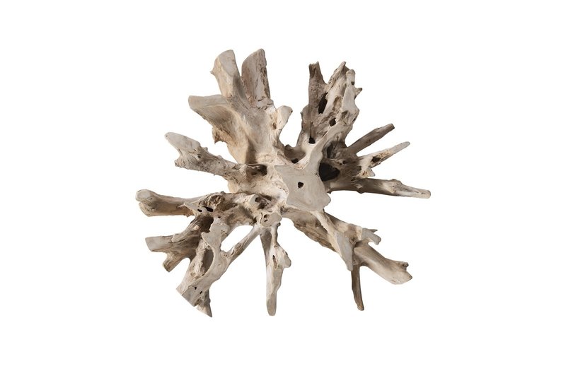 Phillip's Collection Bleached Teak Root Coffee Table Square