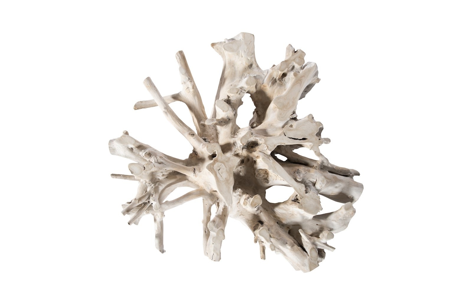 Phillip's Collection Bleached Teak Root Coffee Table Round