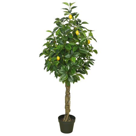 Vickerman Lemon Tree 51"