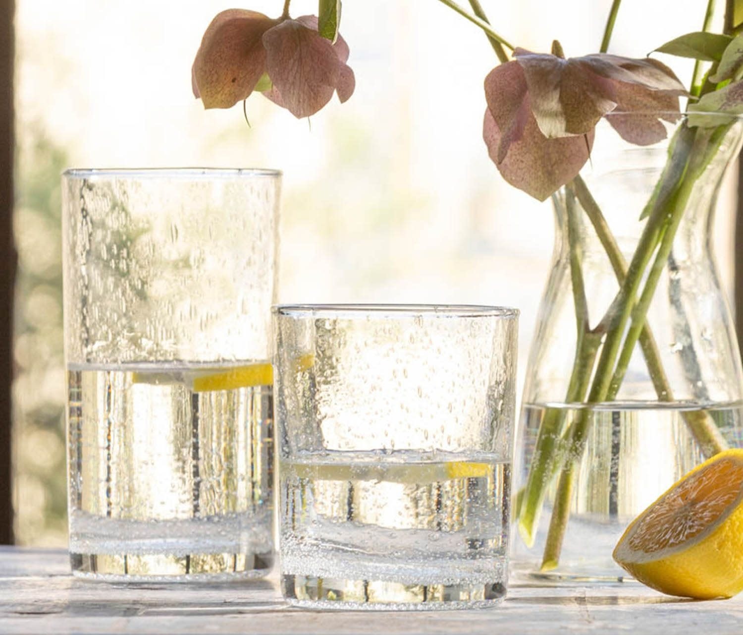 Blue Pheasant Quinn Clear Tumbler