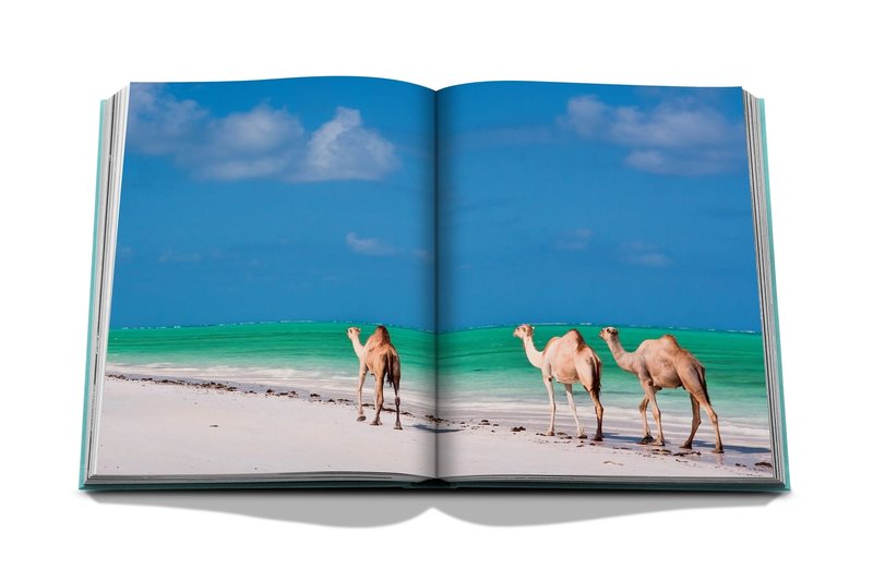 Assouline Assouline Travel Series Red Sea: The Saudi Coast