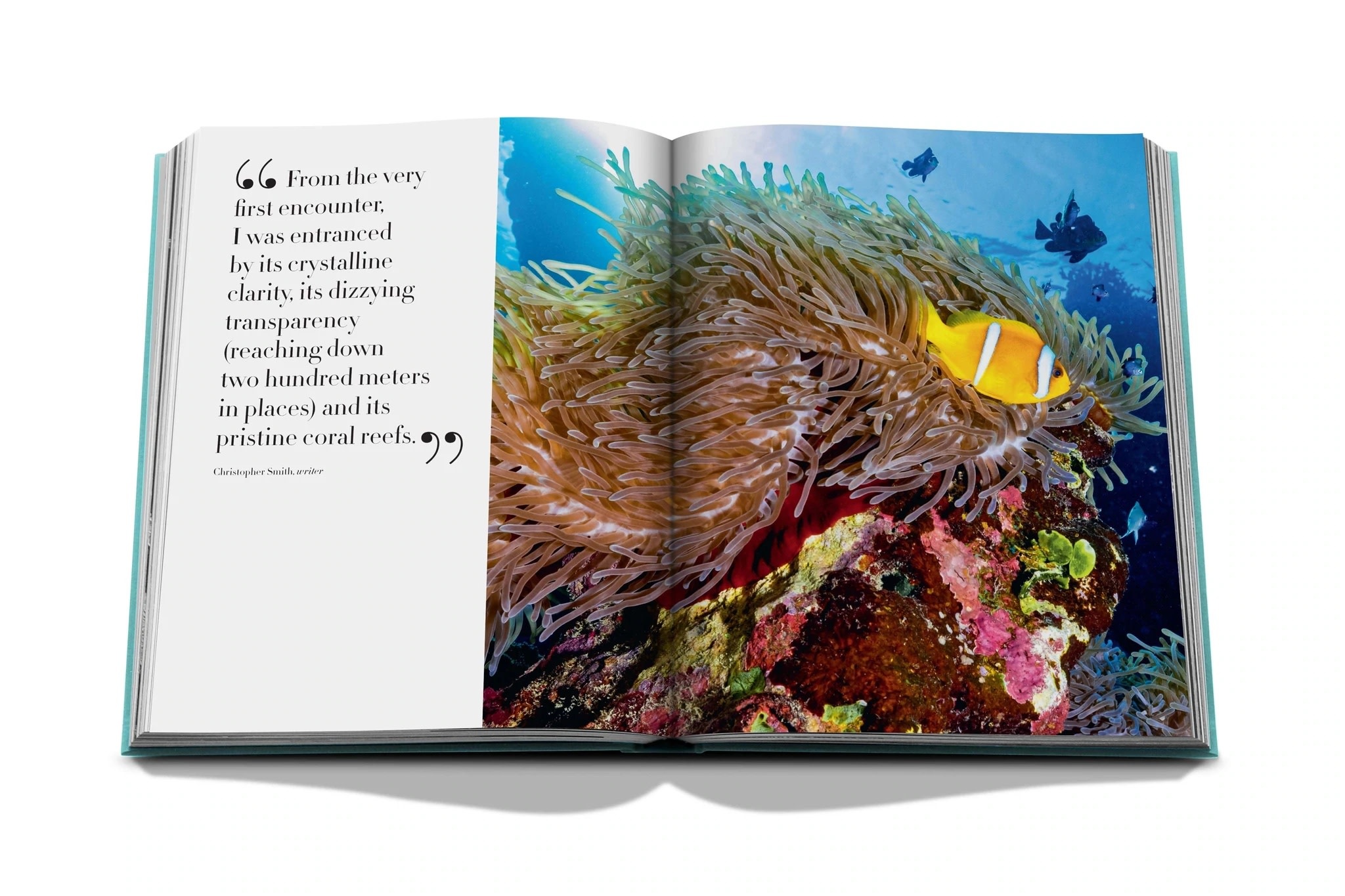 Assouline Assouline Travel Series Red Sea: The Saudi Coast