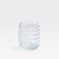 Blue Pheasant Claire Clear Tumbler