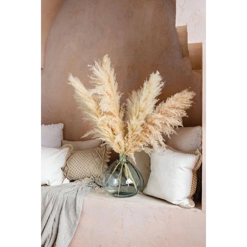Pampas grass size large colour natural Stem Saltwater House