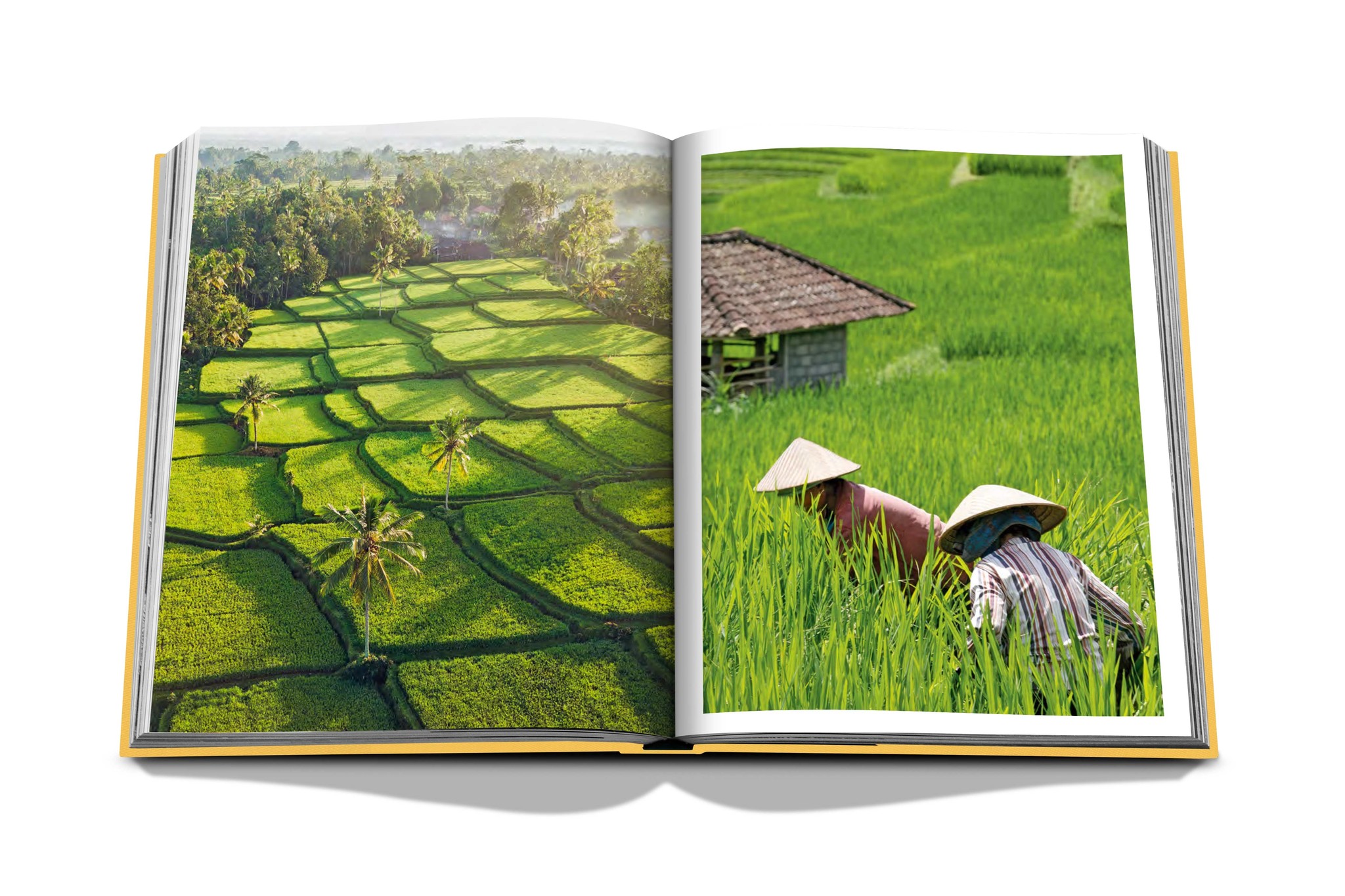 Assouline Travel Series Bali Mystique