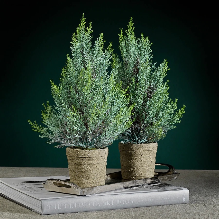 Zodax Pine Tree in Cement Pot