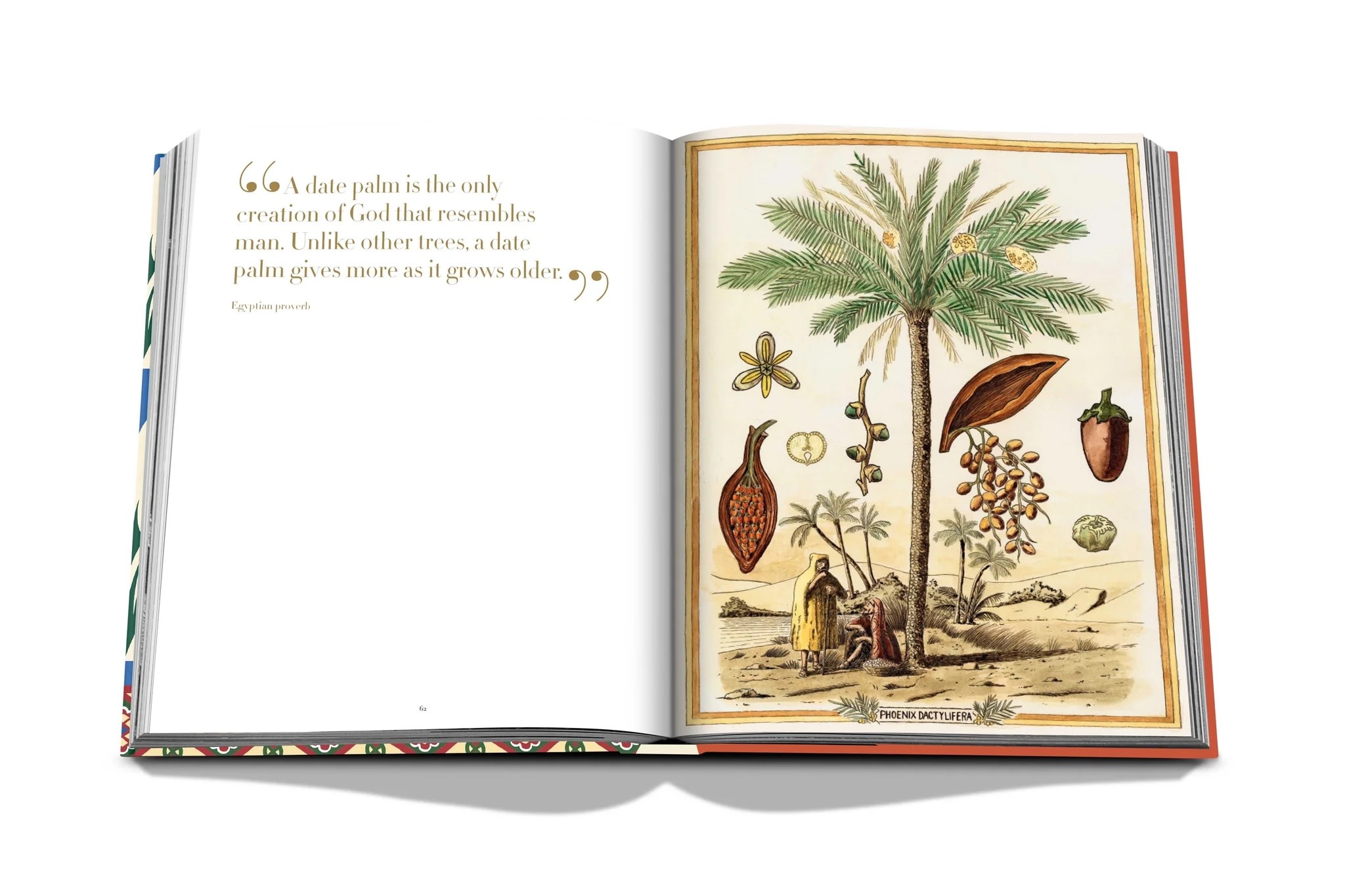 Assouline Saudi Dates: A Portrait of the Sacred Fruit