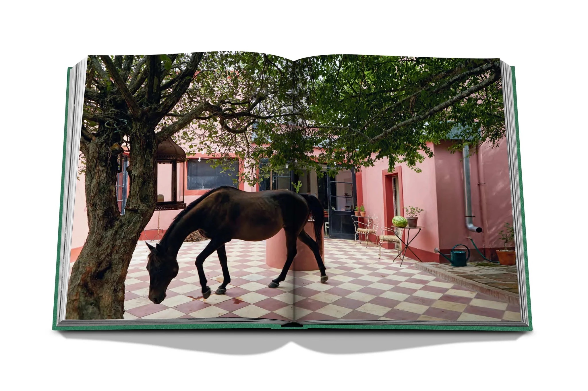 Assouline Travel Series Punta del Este