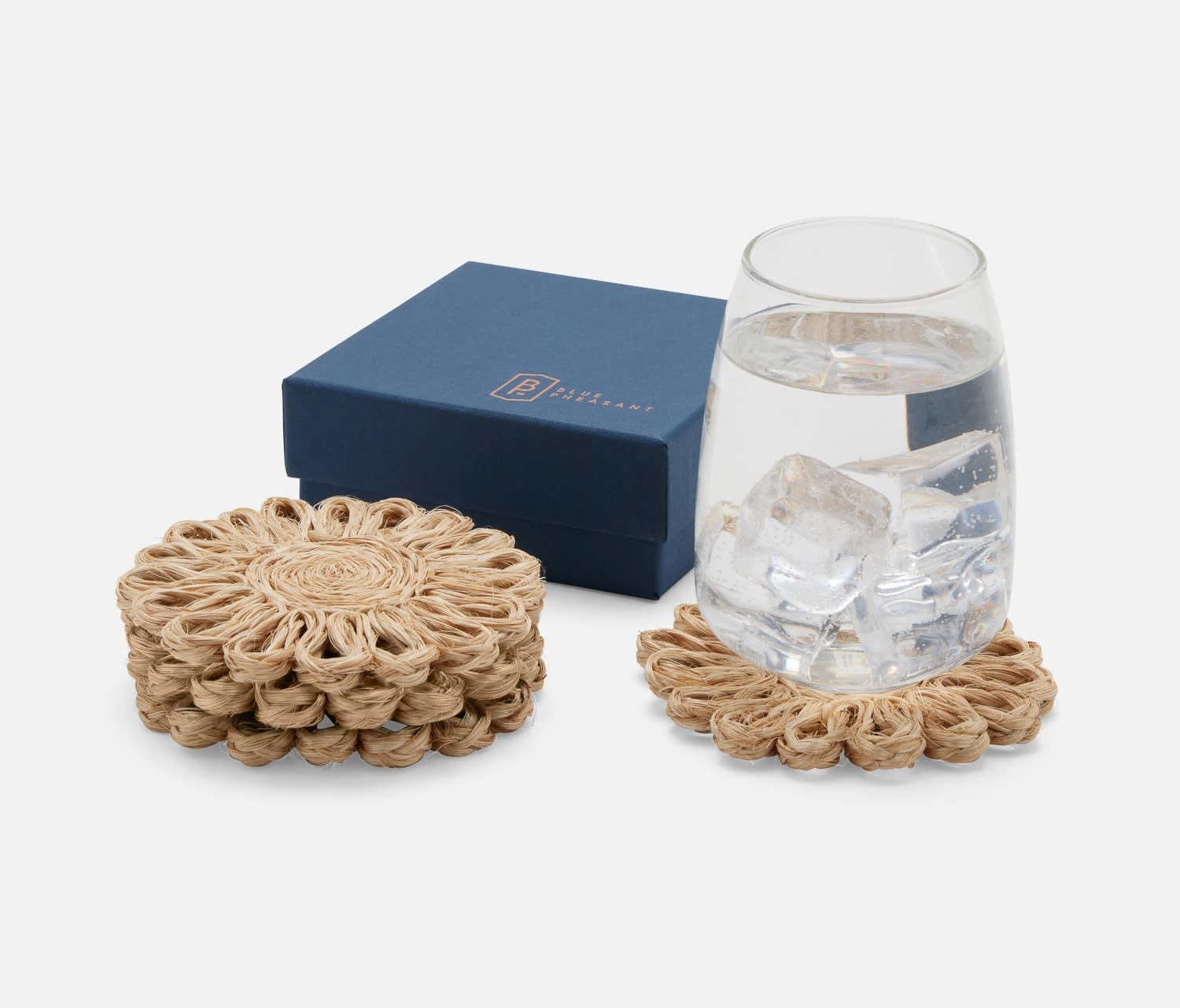 Blue Pheasant Teigan Natural Coasters - Set of 4