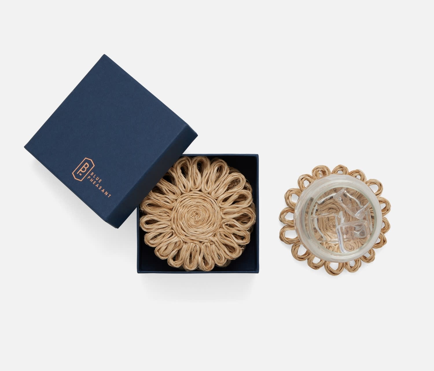 Blue Pheasant Teigan Natural Coasters - Set of 4