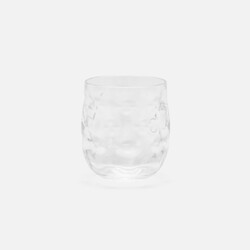 Blue Pheasant Halsey Acrylic Tumbler - Clear