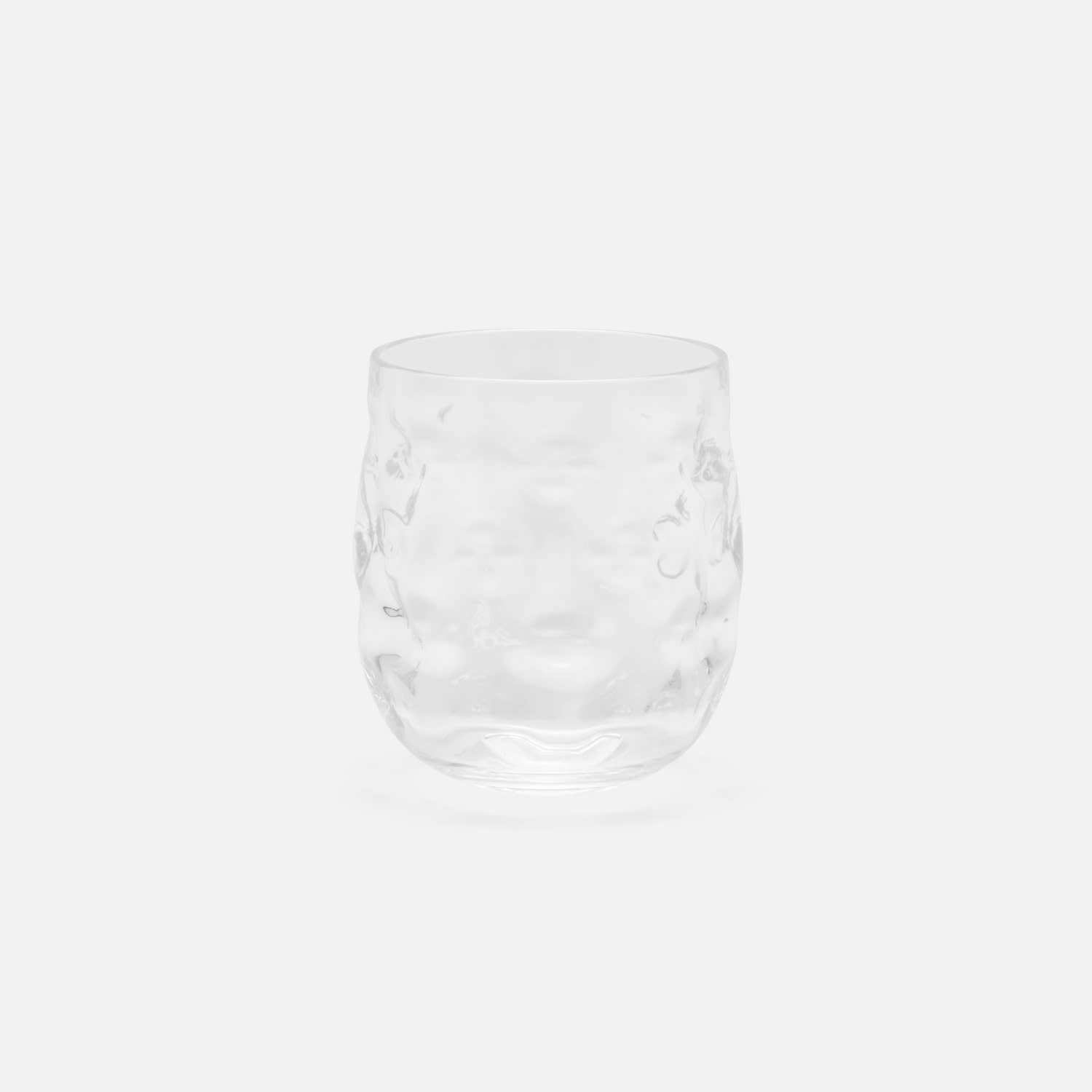 Blue Pheasant Halsey Acrylic Tumbler - Clear