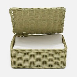 Blue Pheasant Micaela Mint Green Rattan Napkin Tray