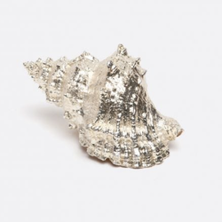 Blue Pheasant Merrick Shell
